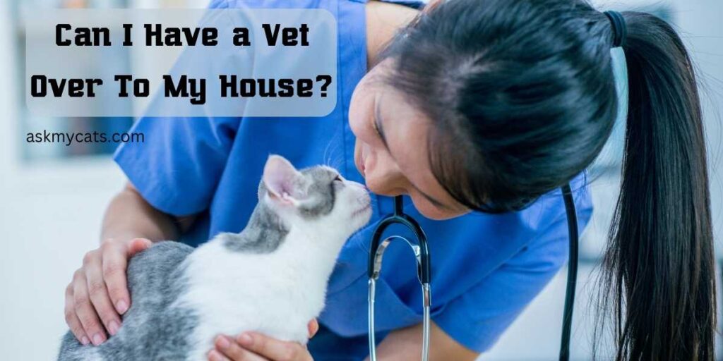 Can I Have a Vet Over To My House