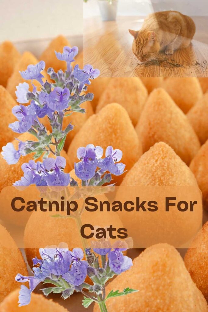 Catnip Snacks For Cats