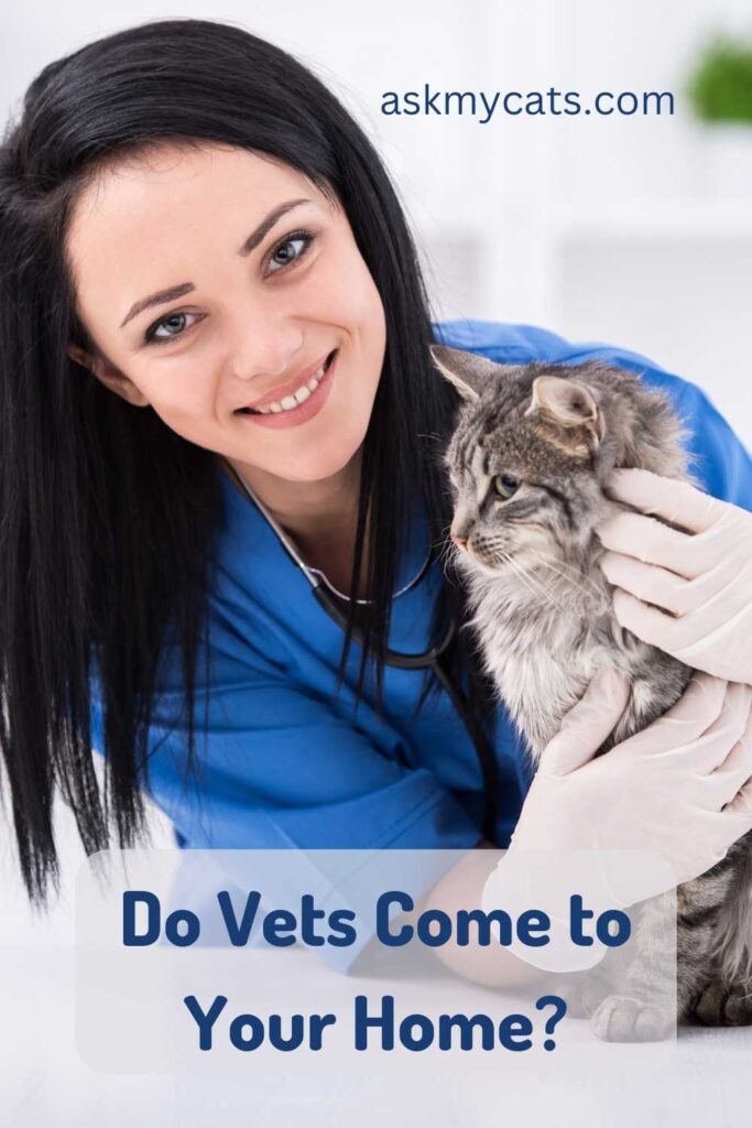 Do Vets Come to Your Home?