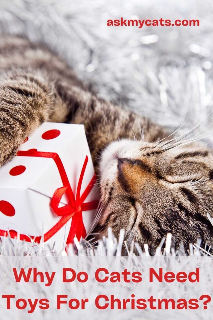 Why Do Cats Need Toys For Christmas?
