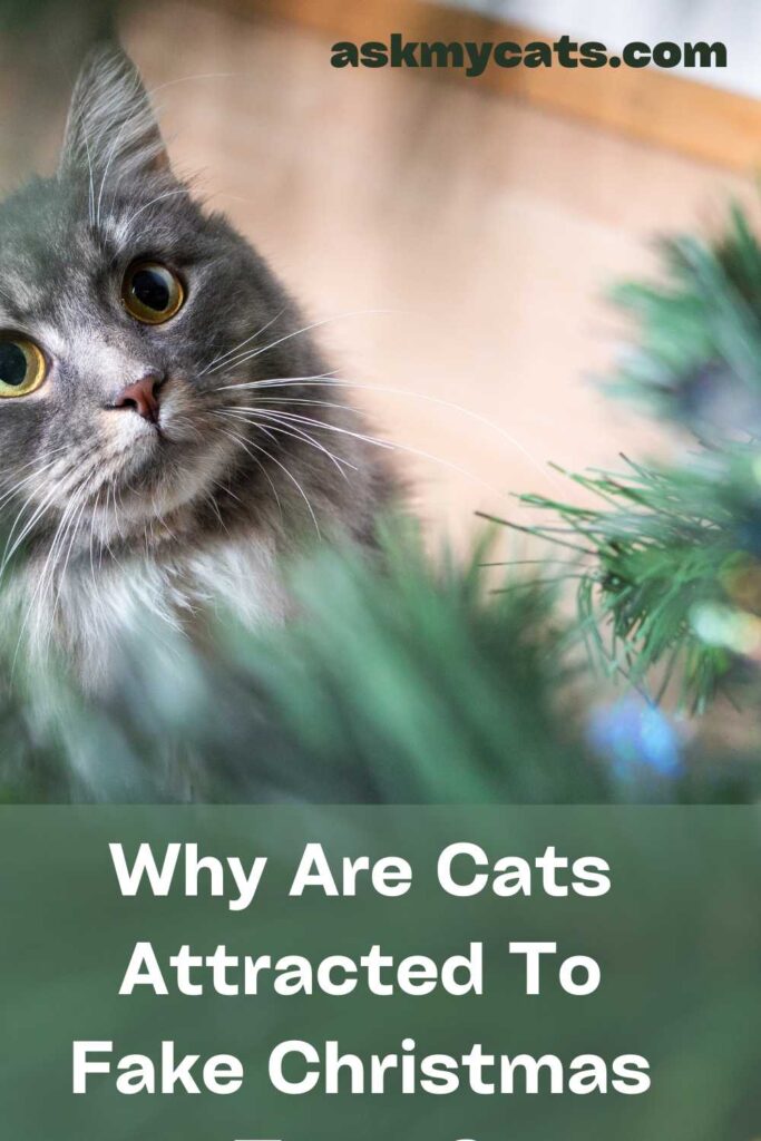 Why Are Cats Attracted To Fake Christmas Trees?