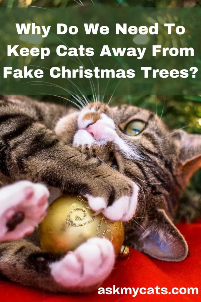 Why Do We Need To Keep Cats Away From Fake Christmas Trees?