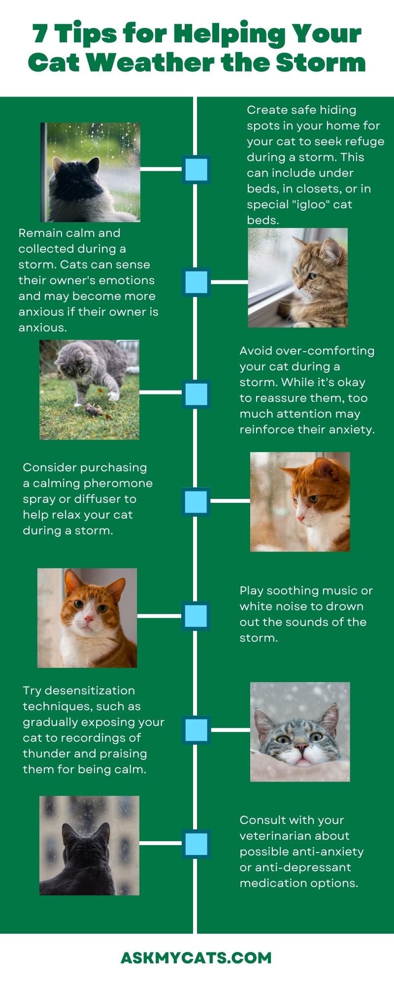 7 Tips for Helping Your Cat Weather the Storm (Infographic)