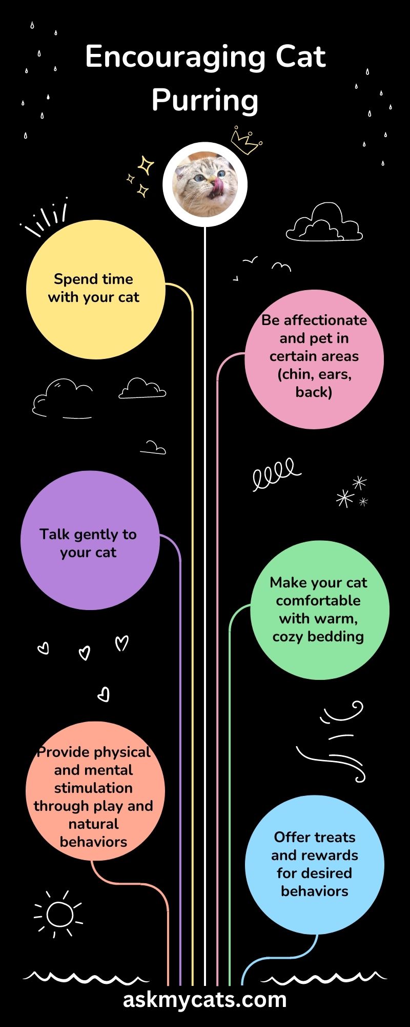 Encouraging Cat Purring (Infographic)