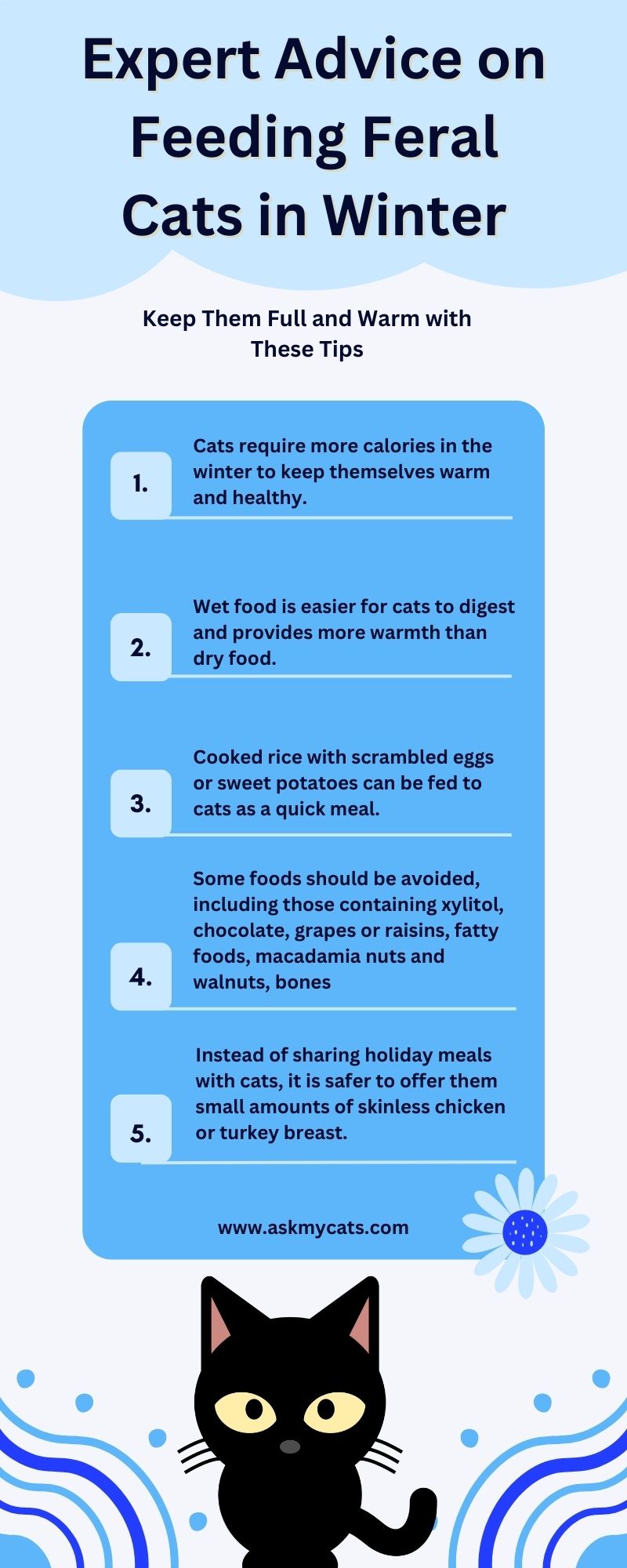 Expert Advice on Feeding Feral Cats in Winter (Infographic)