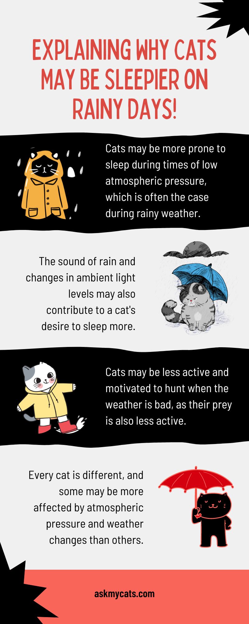 Explaining Why Cats May Be Sleepier on Rainy Days! (Infographic)