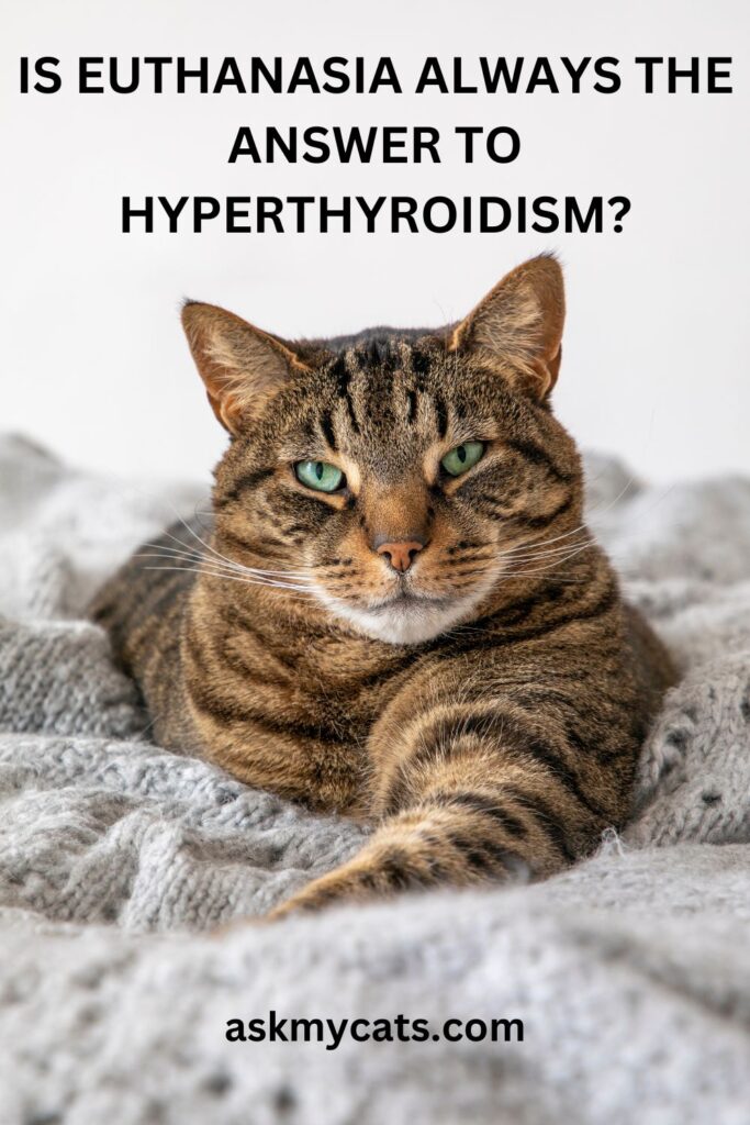 Is Euthanasia Always The Answer To Hyperthyroidism
