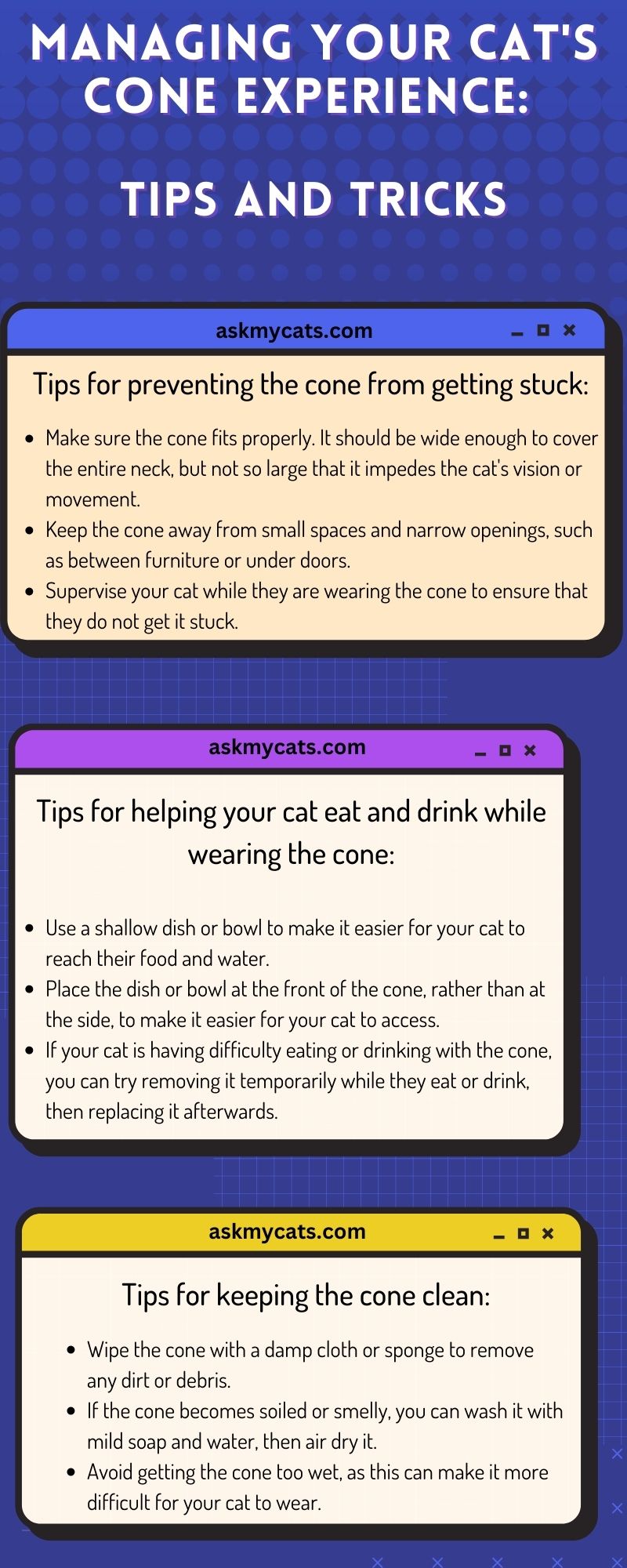 Managing Your Cat's Cone Experience: Tips and Tricks (Infographic)