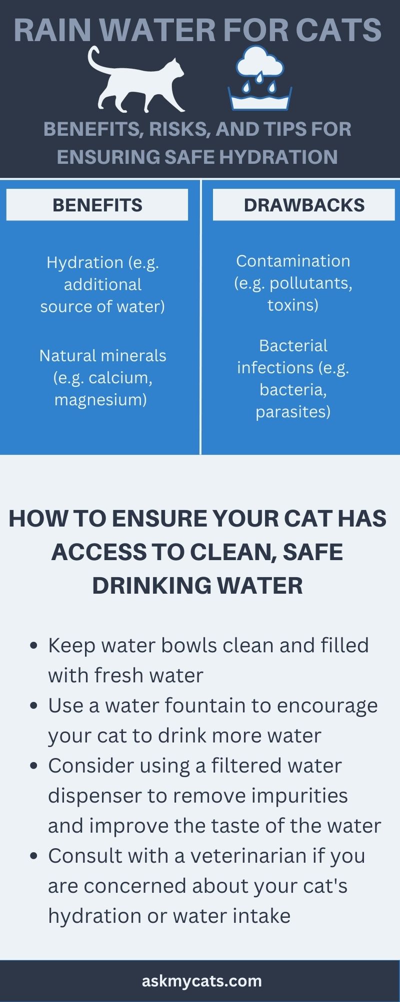 Rain Water for Cats (Infographic)
