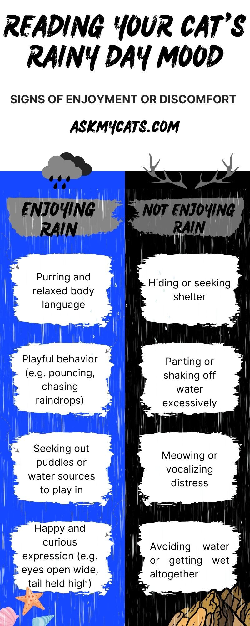 Reading Your Cat's Rainy Day Mood (Infographic)