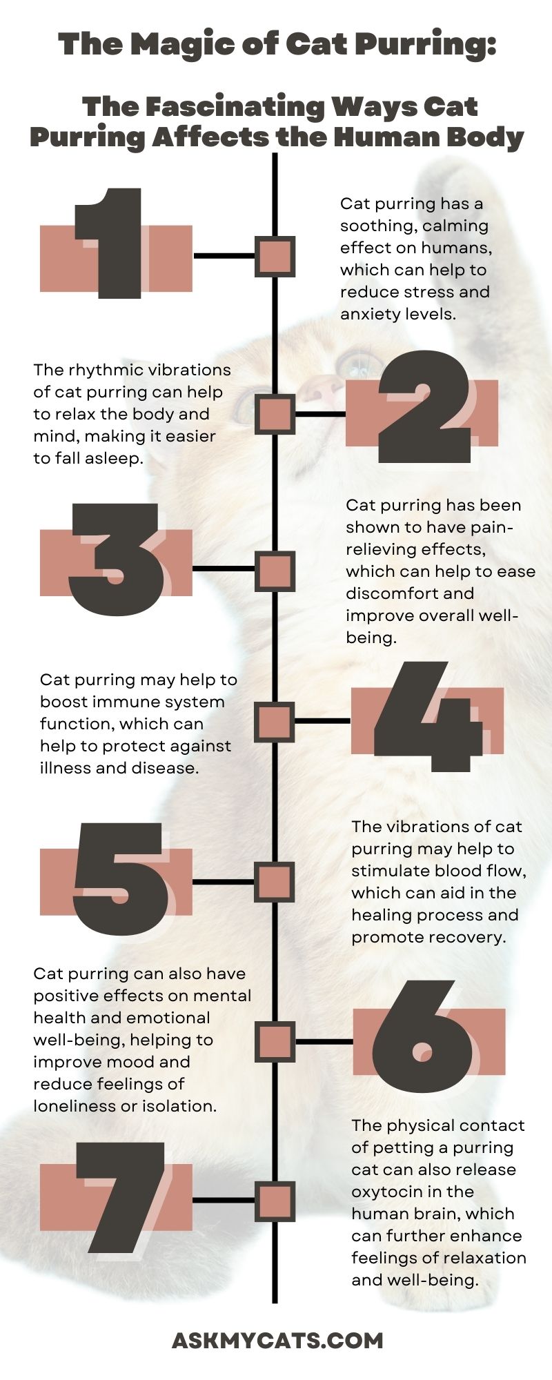 The Magic of Cat Purring (Infographic)