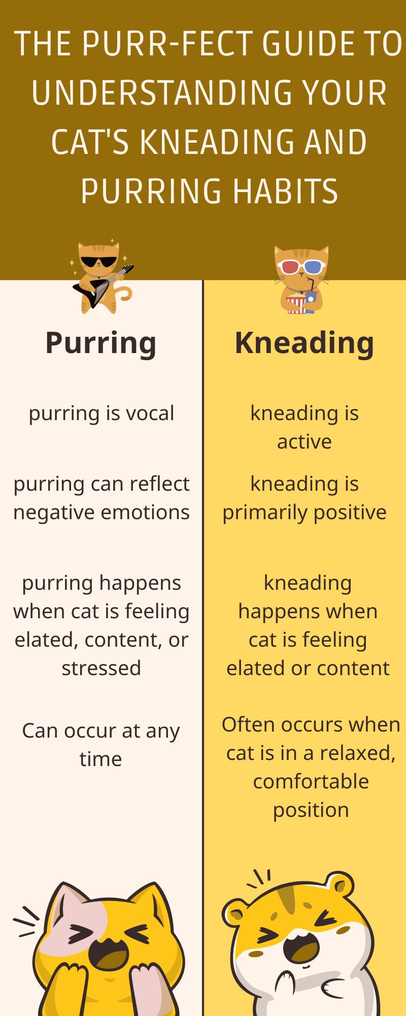 The Purr-fect Guide to Understanding Your Cat's Kneading and Purring Habits