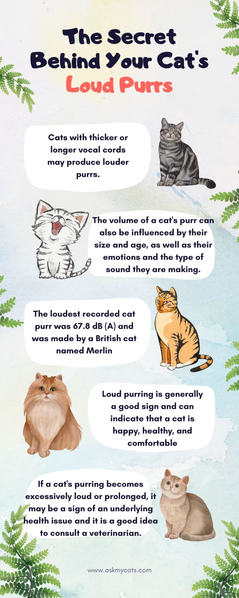 The Secret Behind Your Cats Loud Purrs(Infographic)