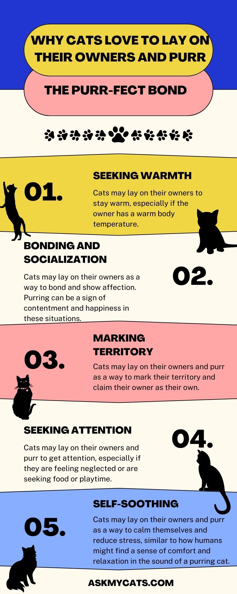 Why Cats Love to Lay on Their Owners and Purr (Infographic)