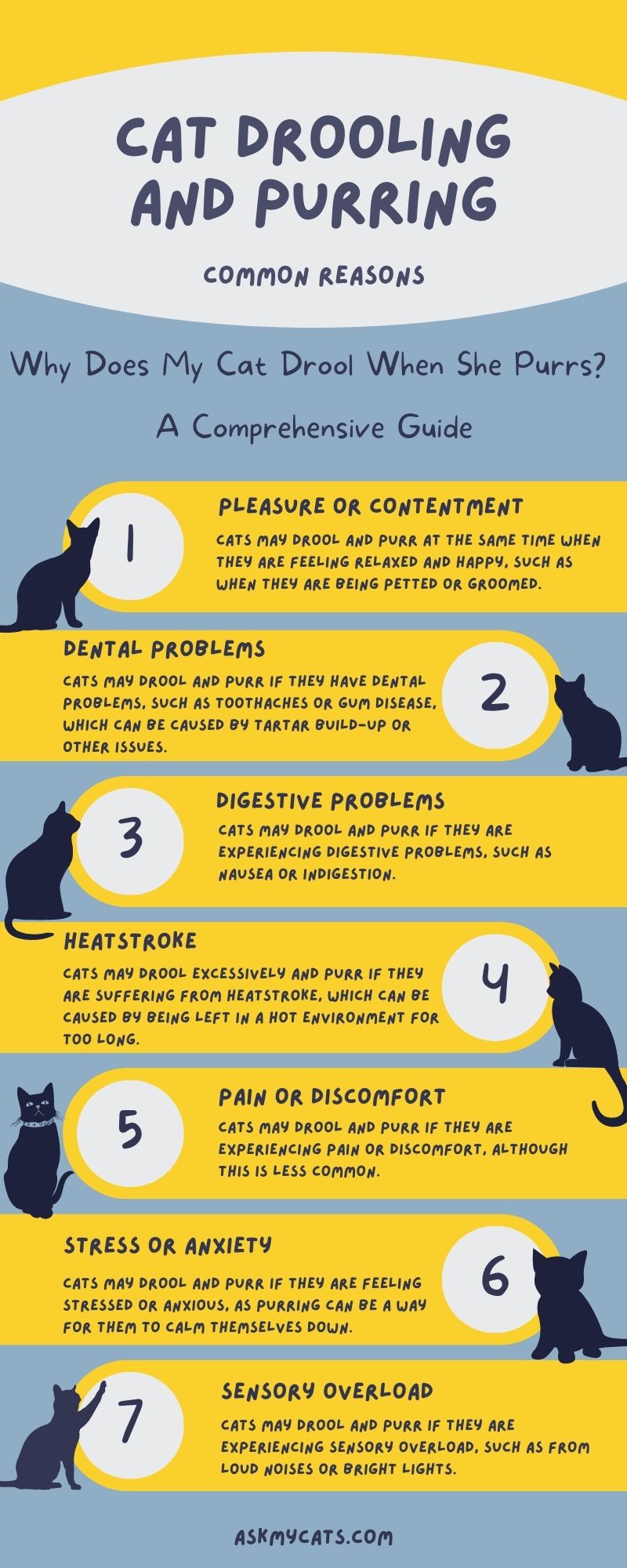 Why Does My Cat Drool When She Purrs? (Infographic)