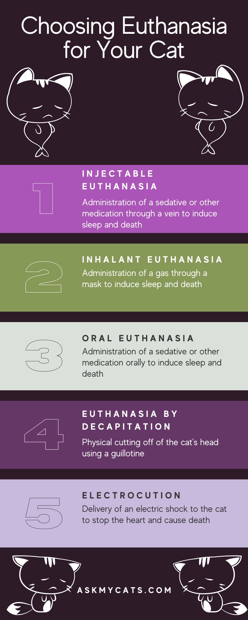 Choosing Euthanasia for Your Cat (Infographic)