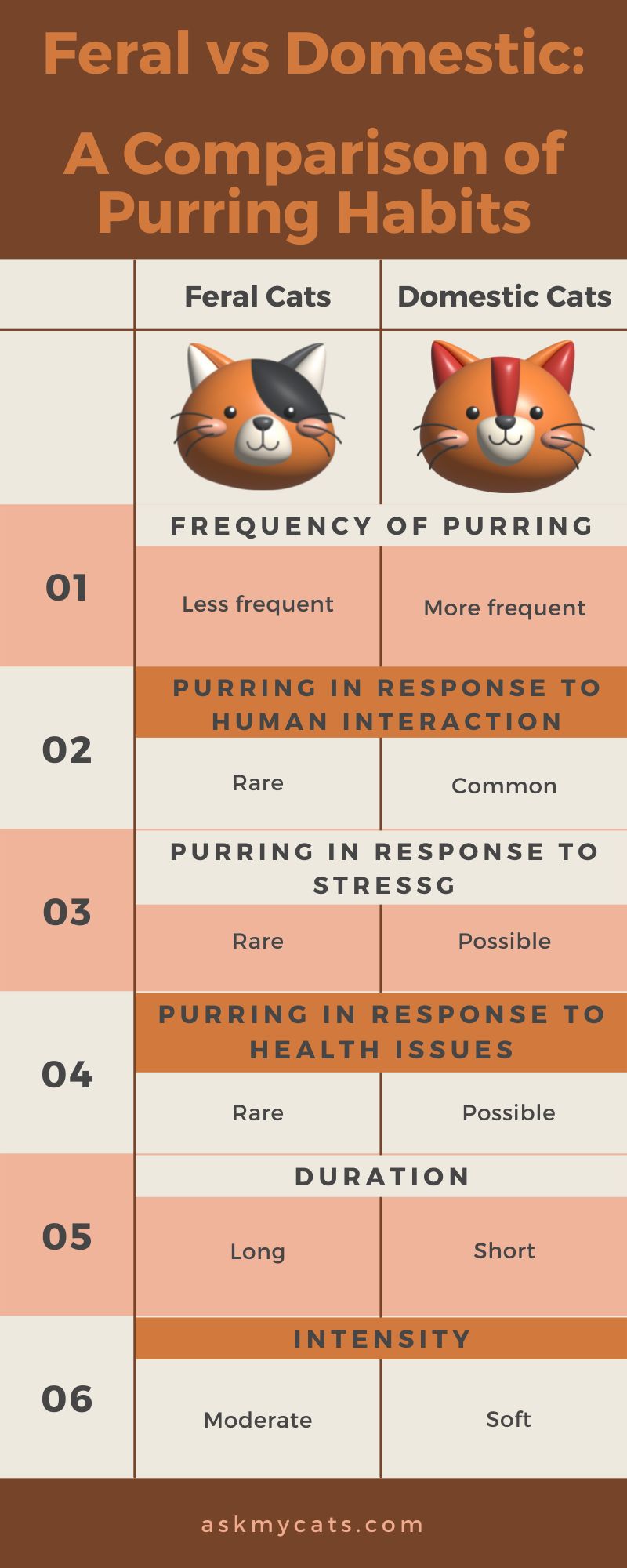 Feral vs Domestic: A Comparison of Purring Habits (Infographic)