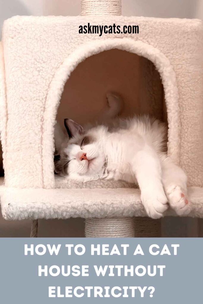 How to heat a cat house without electricity?
