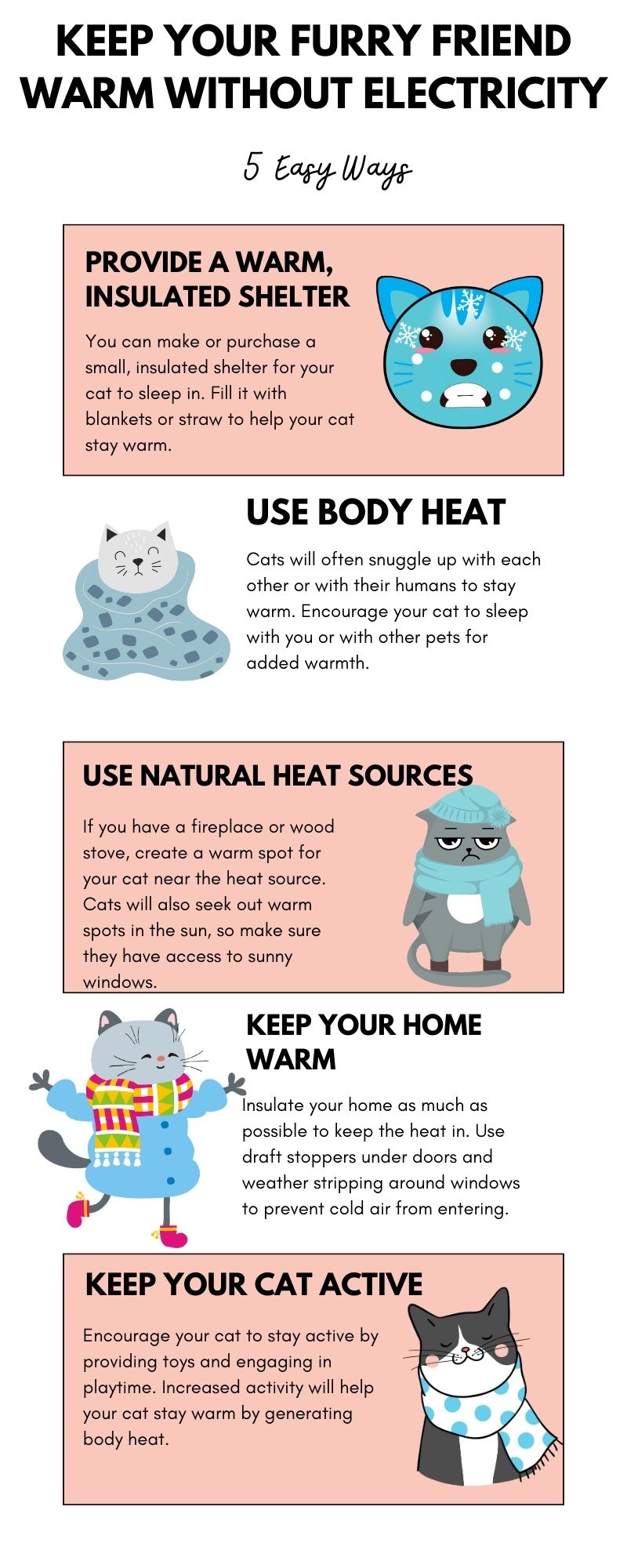 Keep Your Furry Friend Warm Without Electricity (Infographic)