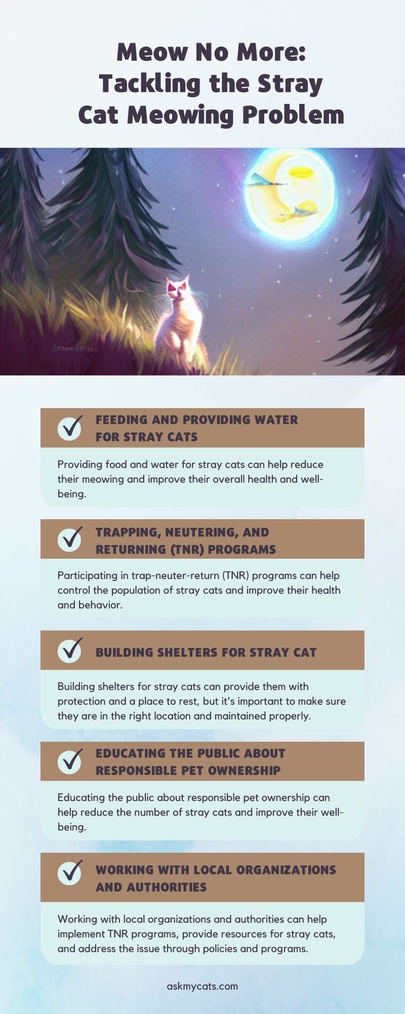 Tackling the Stray Cat Meowing Problem (Infographic)