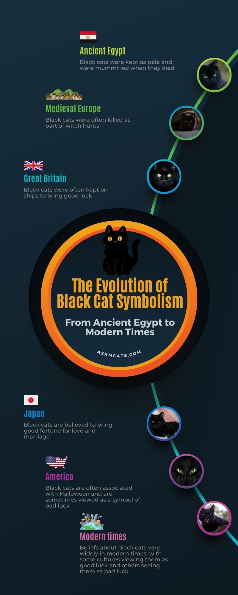 The Evolution of Black Cat Symbolism (Infographic)