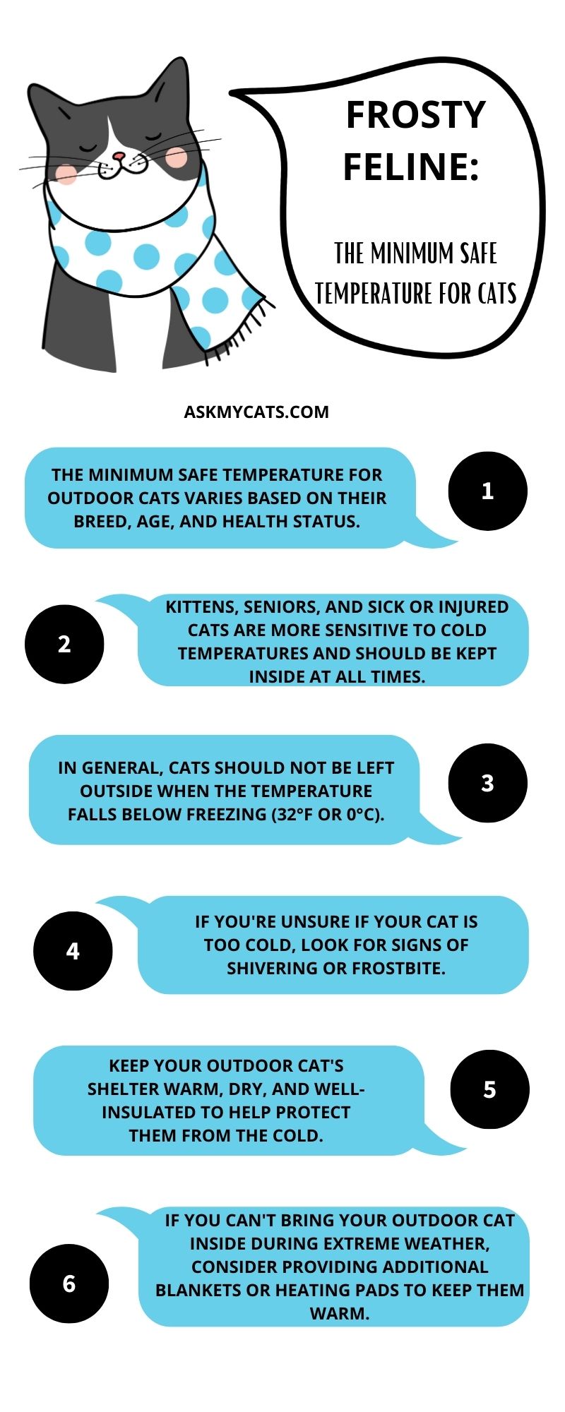 The Minimum Safe Temperature for Cats (Infographic)