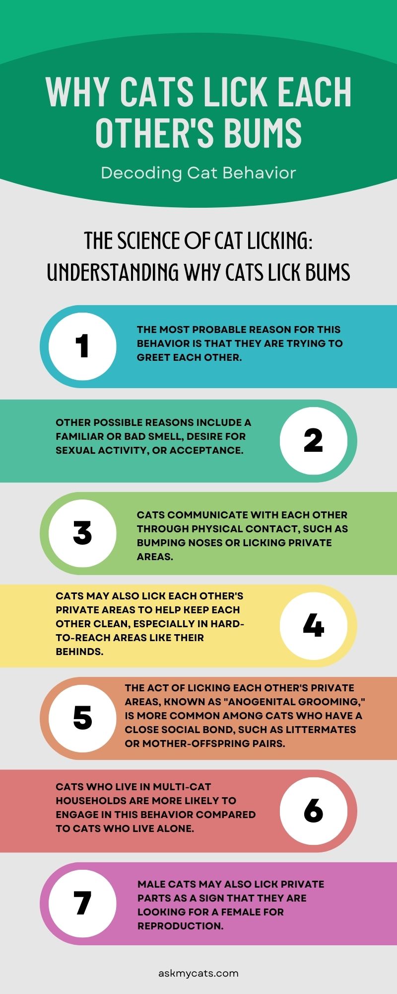 Why Cats Lick Each Other's Bums (Infographic)