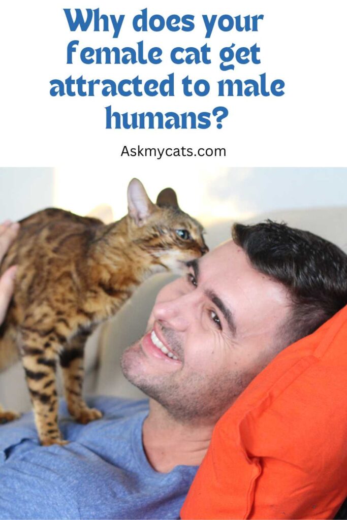 Why does your female cat get attracted to humans