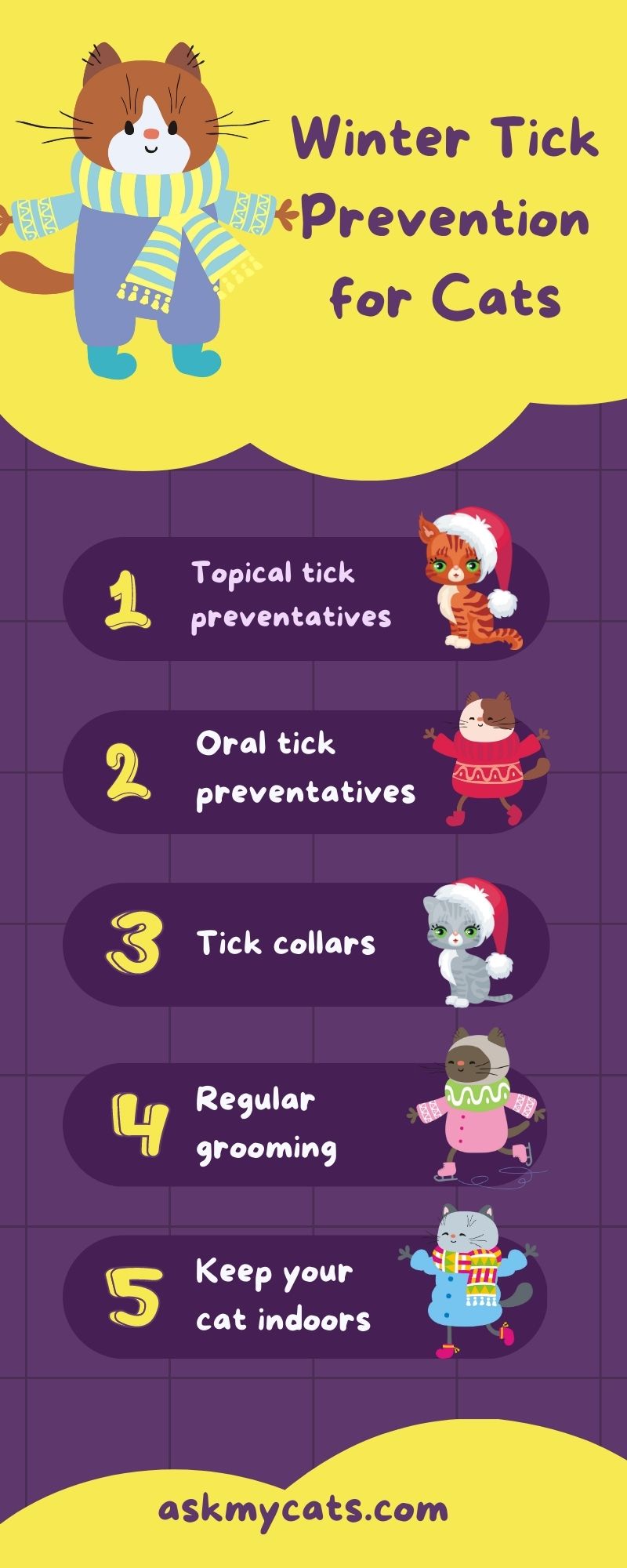 Winter Tick Prevention for Cats (Infographic)