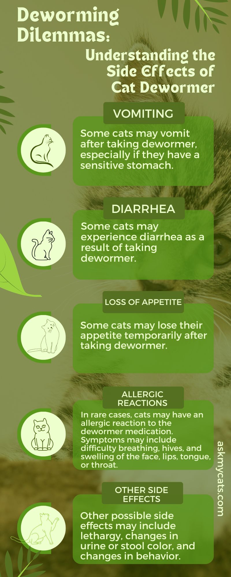 side effects of cat dewormer (Infographic)