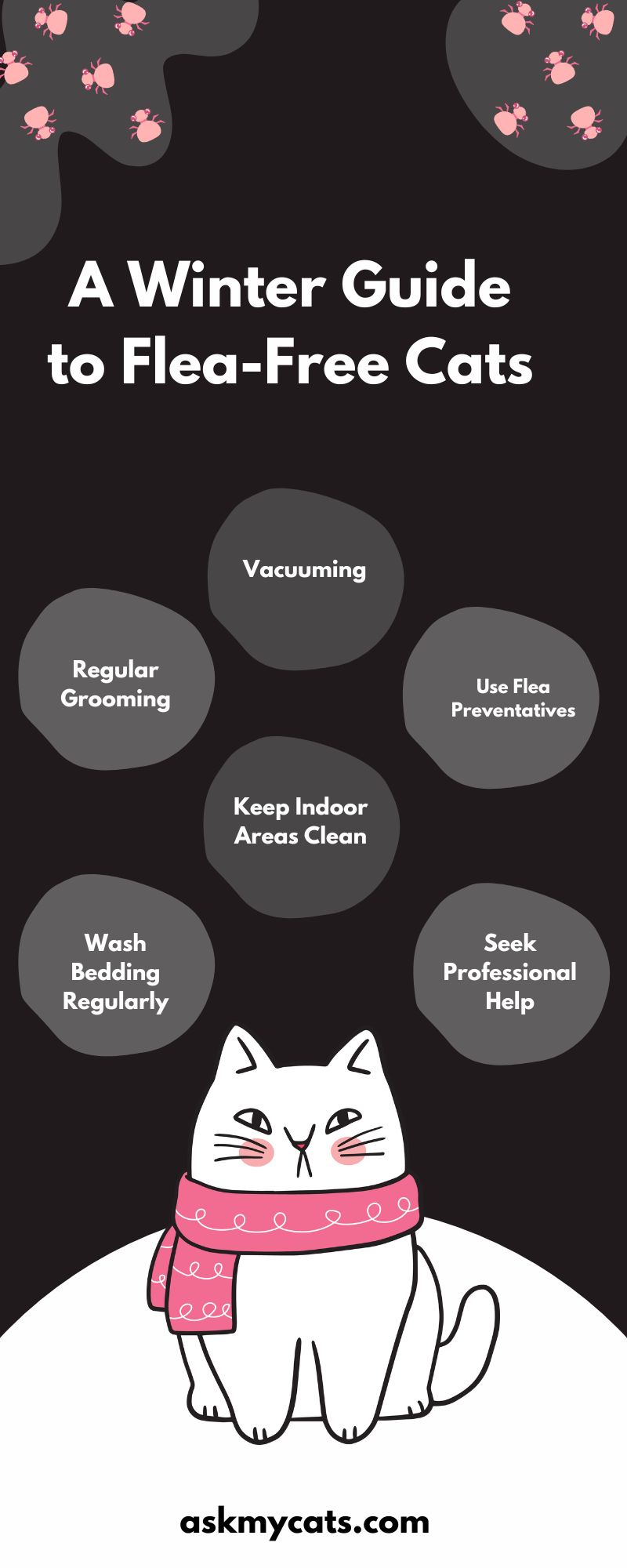 A Winter Guide to Flea-Free Cats (Infographic)