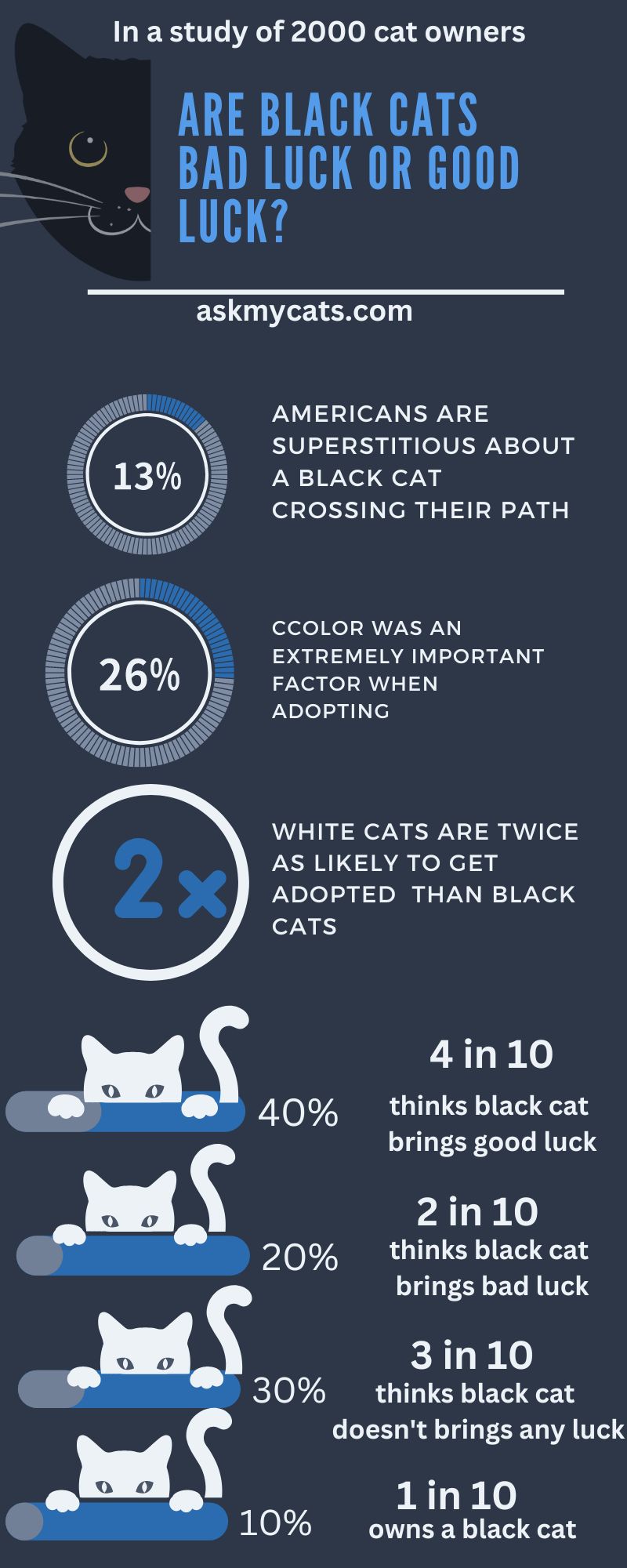 ARE BLACK CATS BAD LUCK (Infographic)