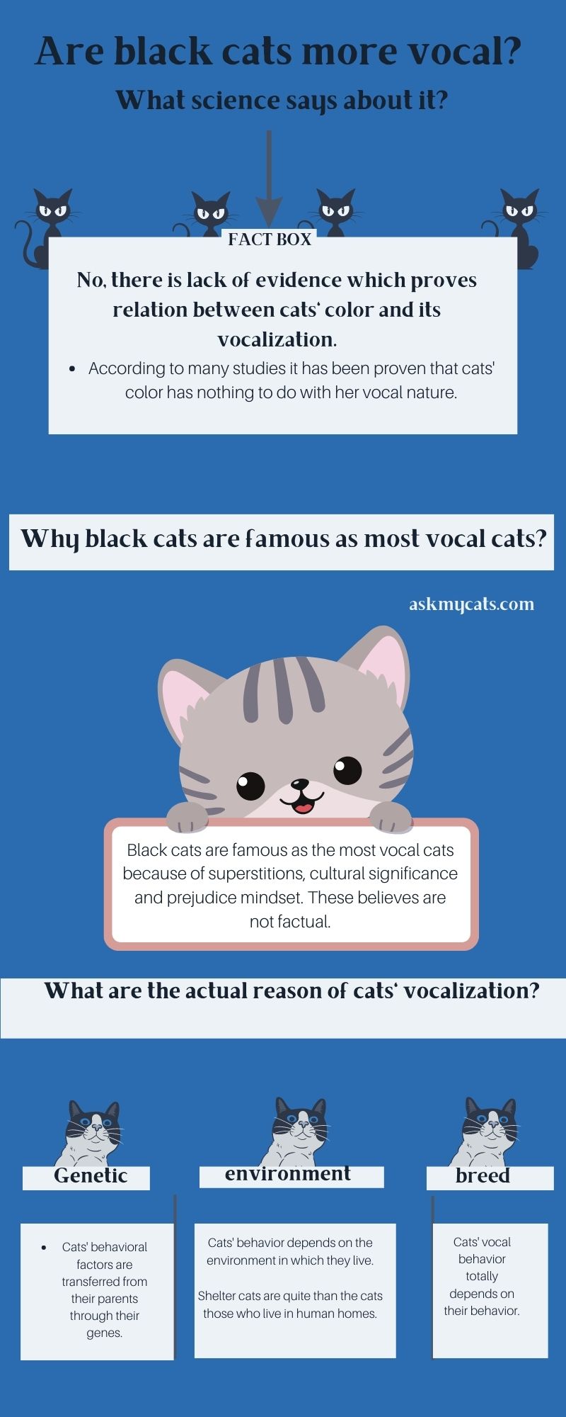 Are black cats more vocal (Infographic)