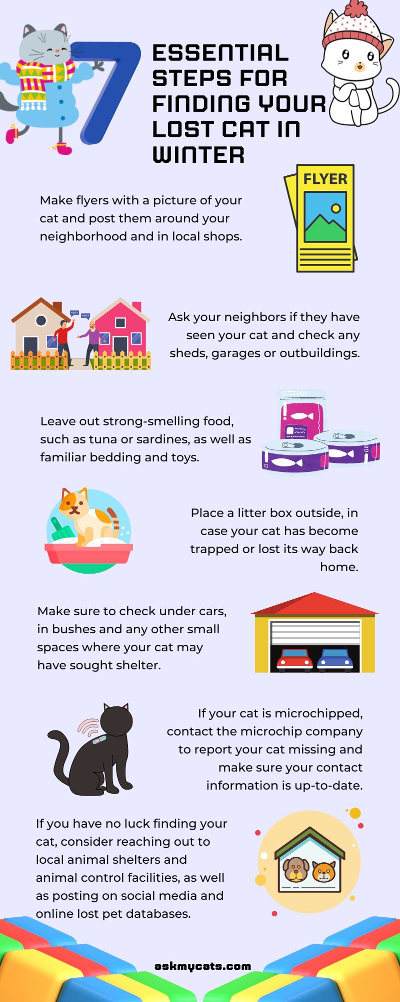 Essential Steps for Finding Your Lost Cat in Winter (Infographic)