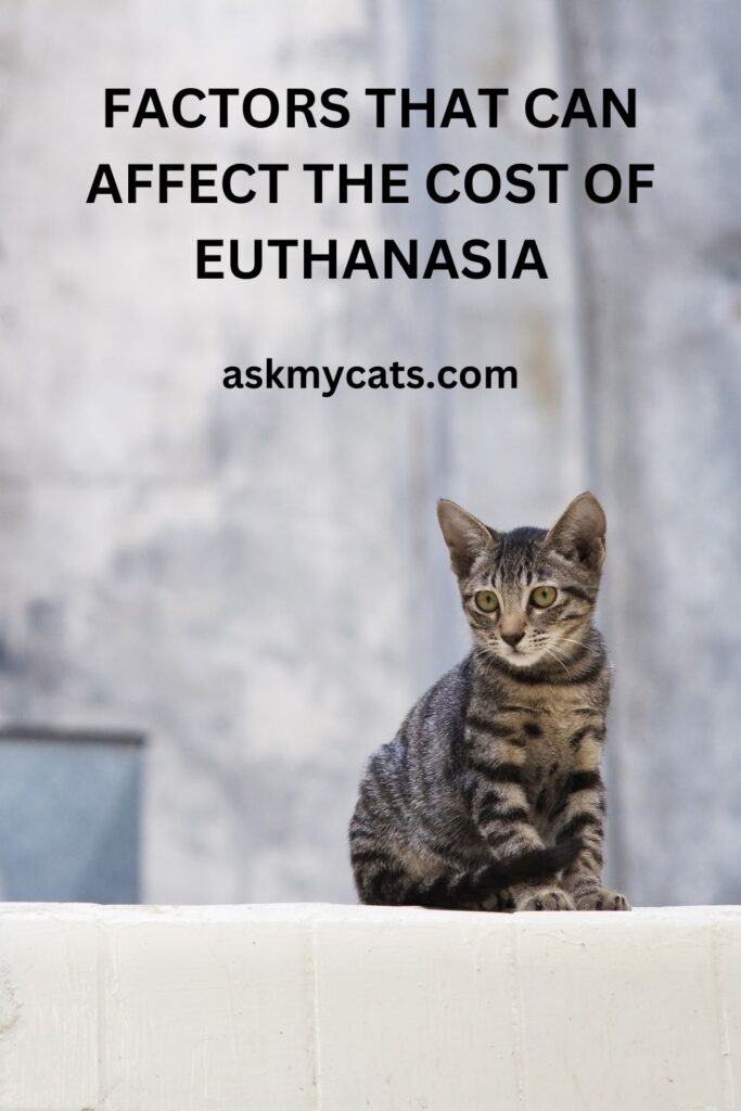 Factors That Can Affect The Cost Of Euthanasia