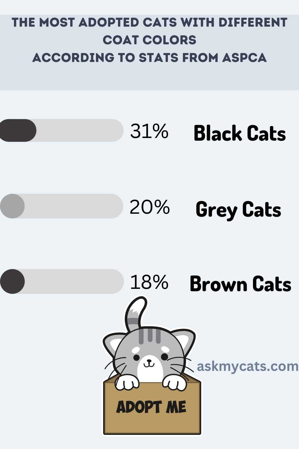 Statistics On The Number Of Black Cats In Shelters And Homes (Infographic)