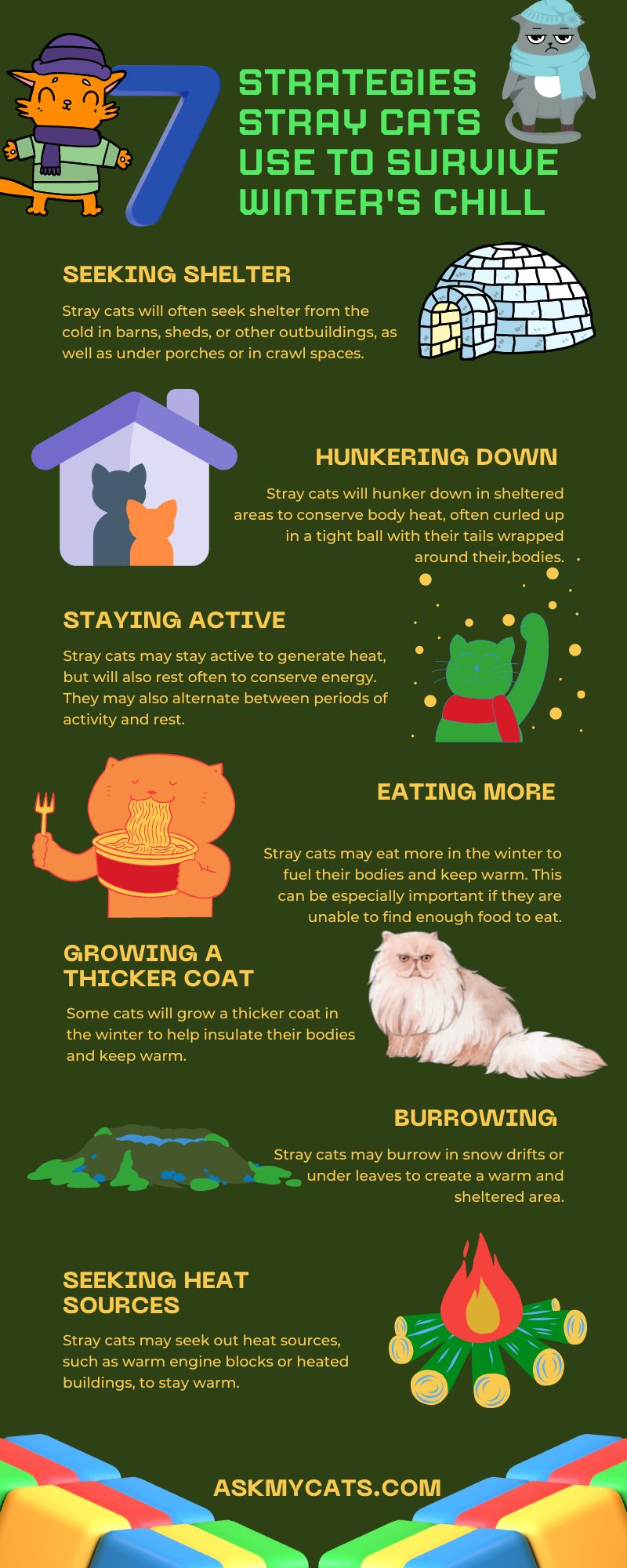 Strategies Stray Cats Use to Survive Winter's Chill (Infographic)
