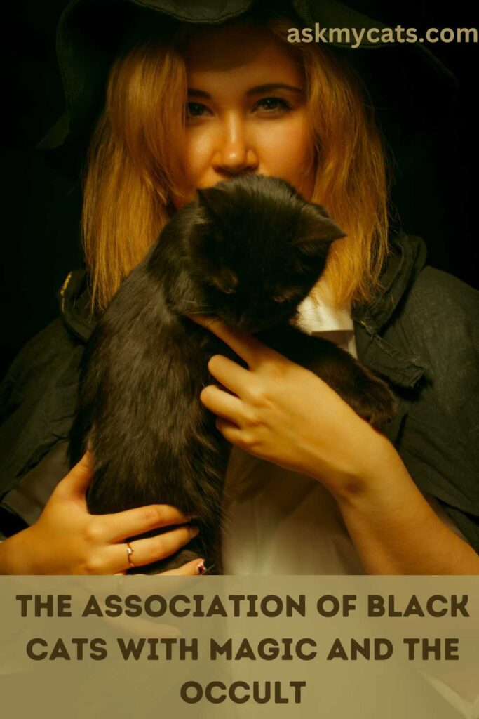 The Association Of Black Cats With Magic And The Occult