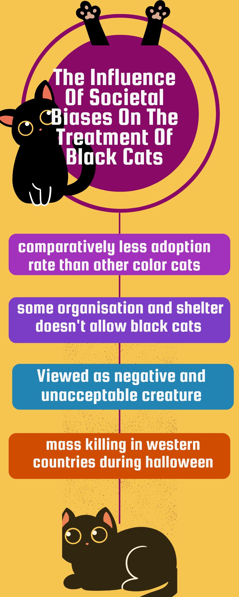 The Influence Of Societal Biases On The Treatment Of Black Cats (Infographic)