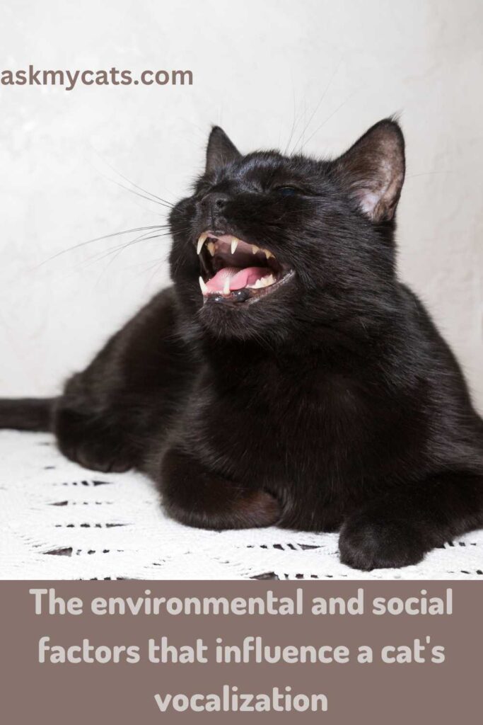 ronmental and social factors that influence a cat's vocalization.