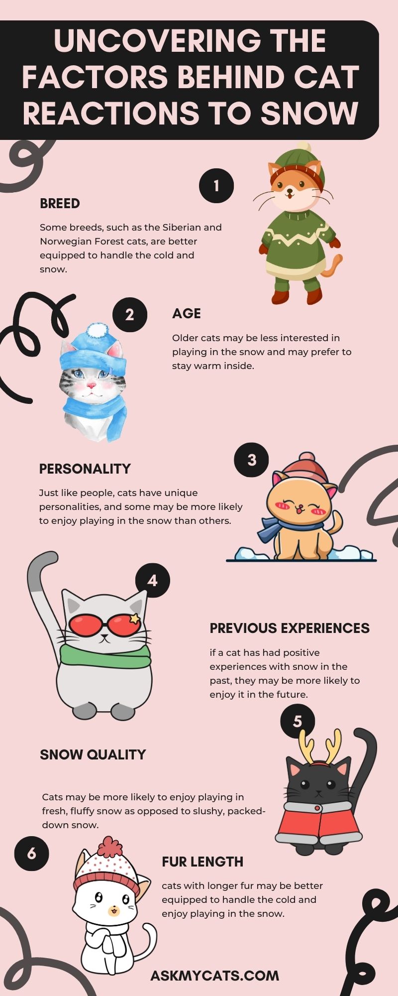 Uncovering the Factors Behind Cat Reactions to Snow (Infographic)