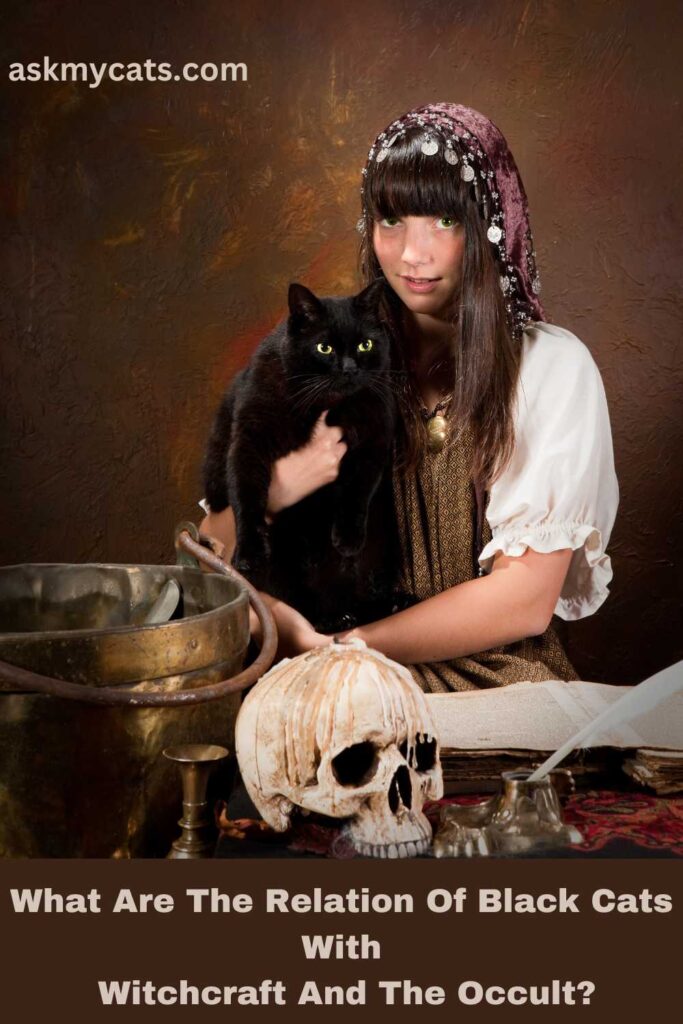 What Are The Relation Of Black Cats With Witchcraft And The Occult