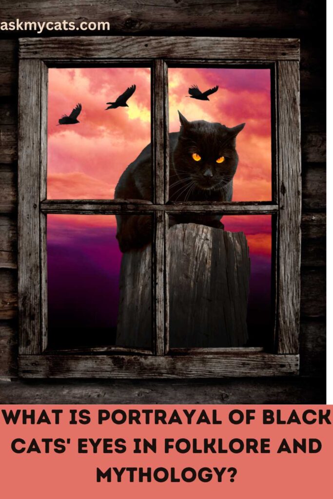 What Is Portrayal Of Black Cats' Eyes In Folklore And Mythologyblack 