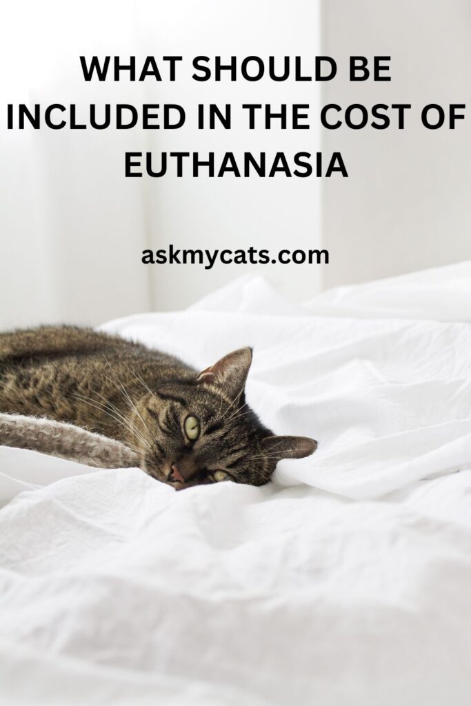 What Should Be Included In The Cost Of Euthanasia