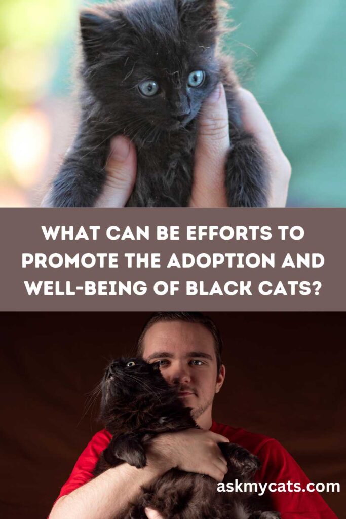 What can be efforts to promote the adoption and well-being of black cats