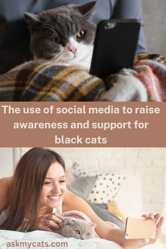The use of social media to raise awareness and support for black cats