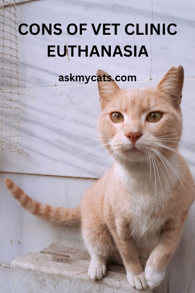 Cons Of Vet Clinic Euthanasia