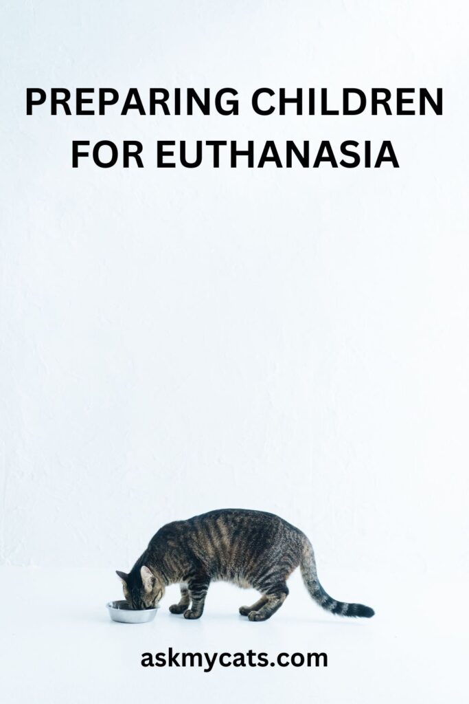 Preparing Children for Euthanasia