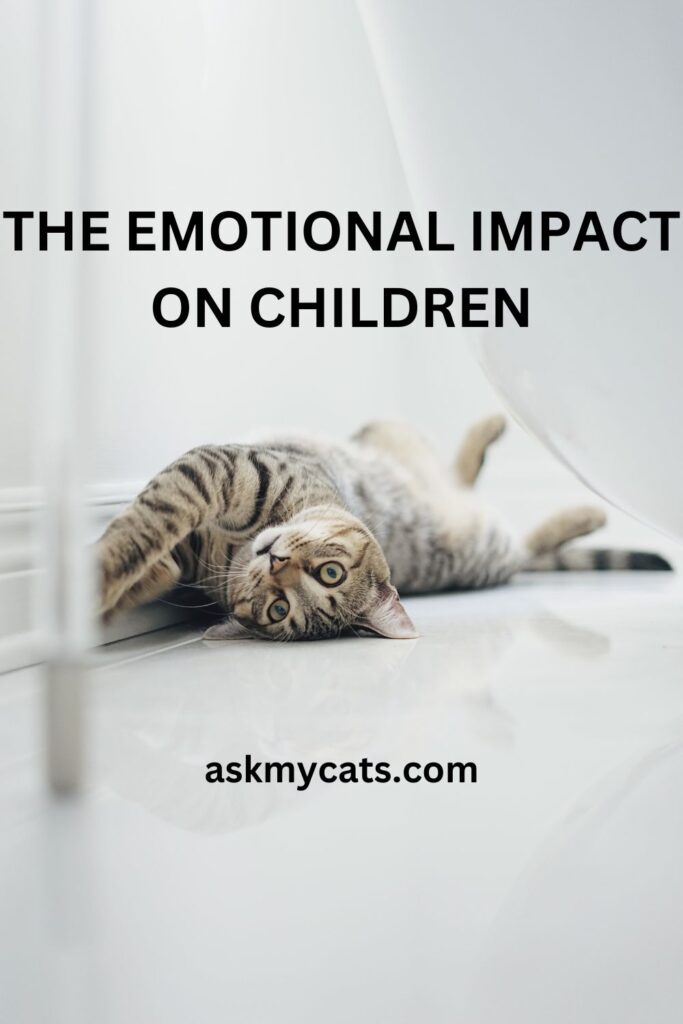 The Emotional Impact on Children