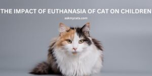 The Impact Of Euthanasia Of Cat On Children
